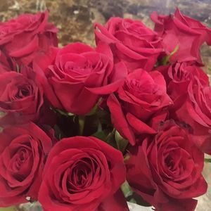 Meet your Posher, Lüisa